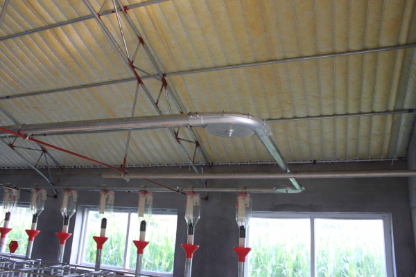 妊娠母猪自动供料系统