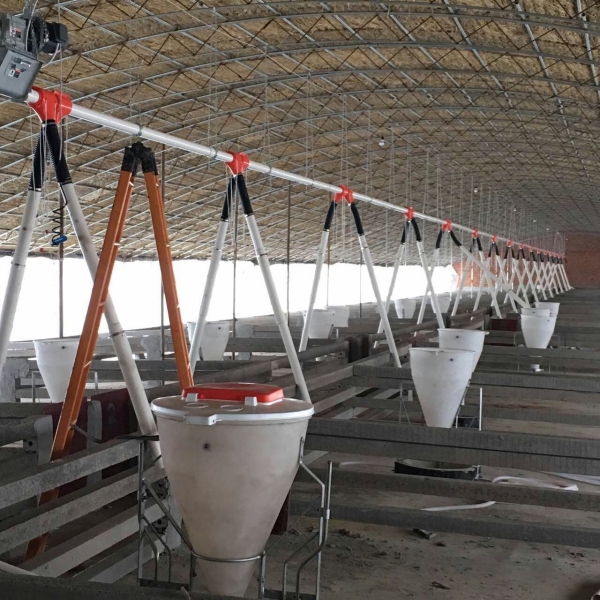 育肥猪直线供料