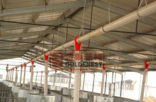 育肥猪直线供料