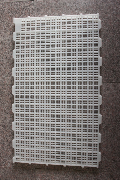 种鸡平养塑料漏粪地板