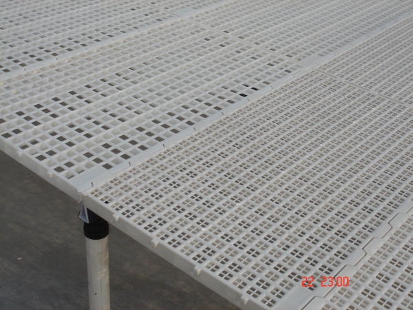 种鸡平养塑料漏粪地板