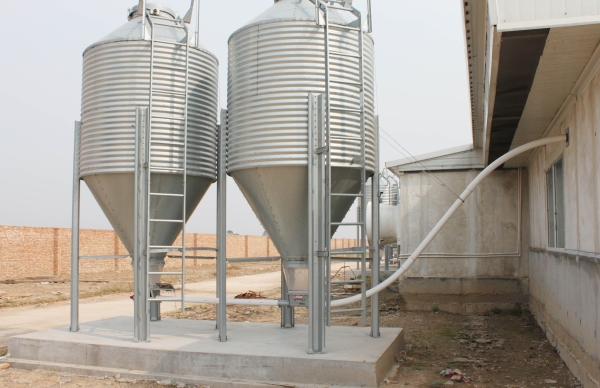 肉鸡十吨钢板仓