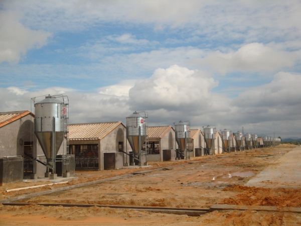 养猪场五吨钢板仓