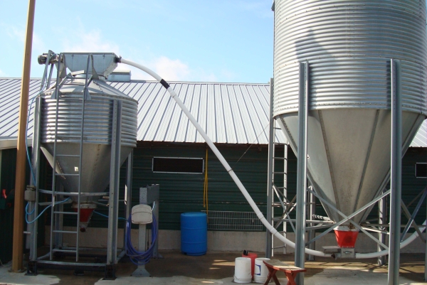 养鸡自动喂料系统